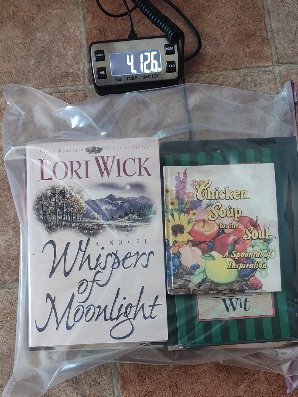 SPRING READING: BOOK BUNDLE BAG